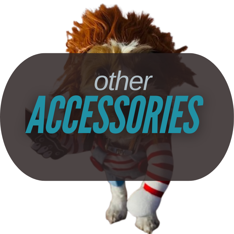 Other Accessories